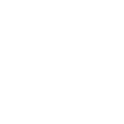 logo-animation